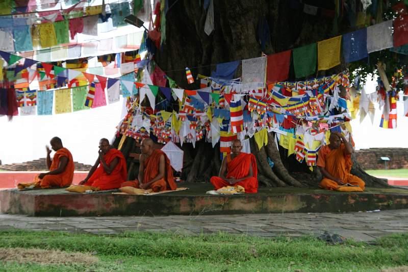 India & Nepal 2011 - 0659